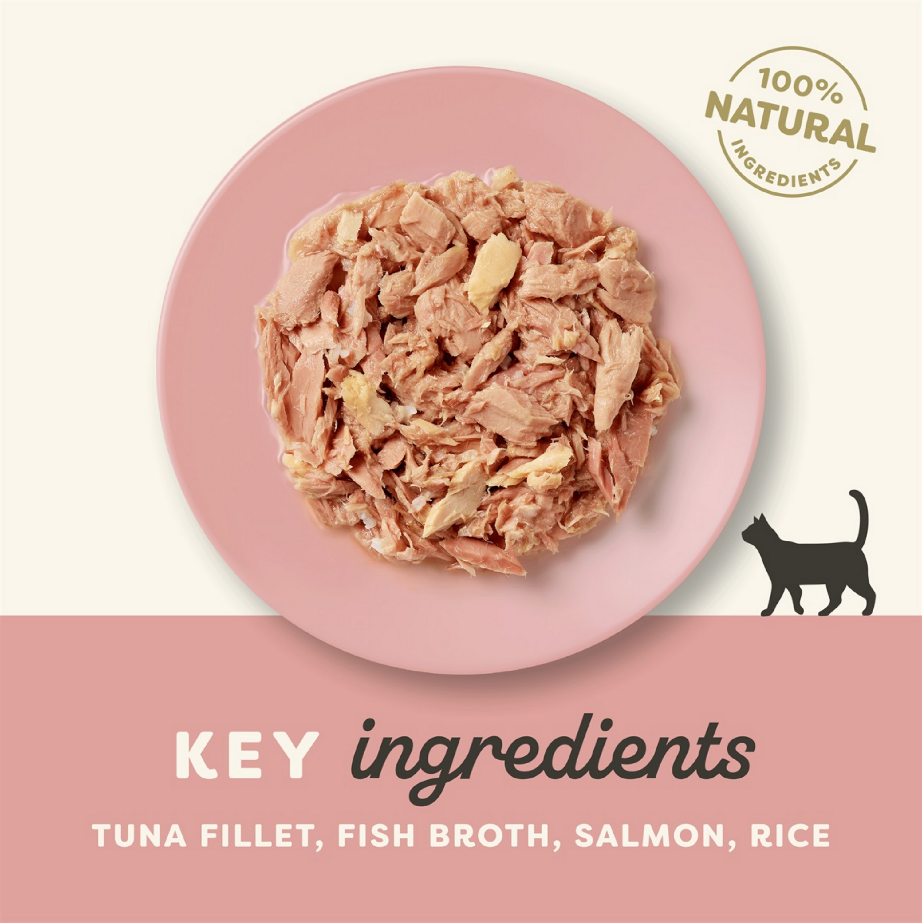Applaws Kattenvoer Tonijnfilet & Zalm in Bouillon (6st)
