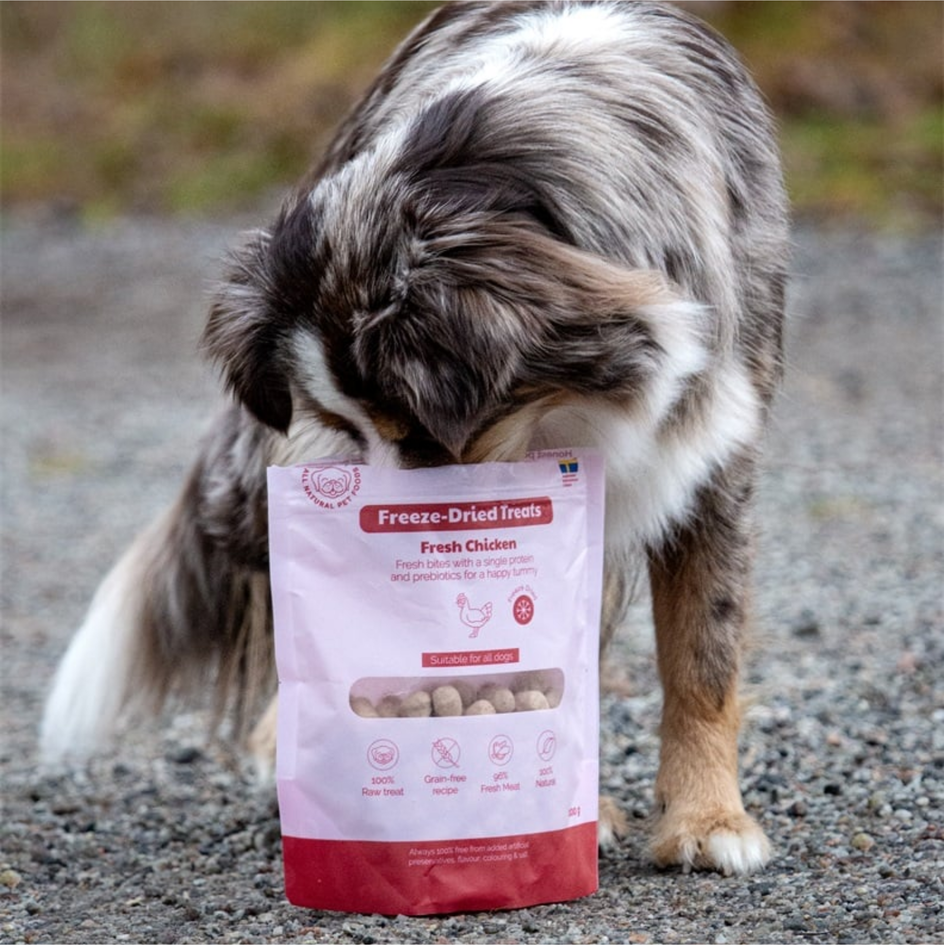Buddy Freeze-Dried Treats Kip (100g)