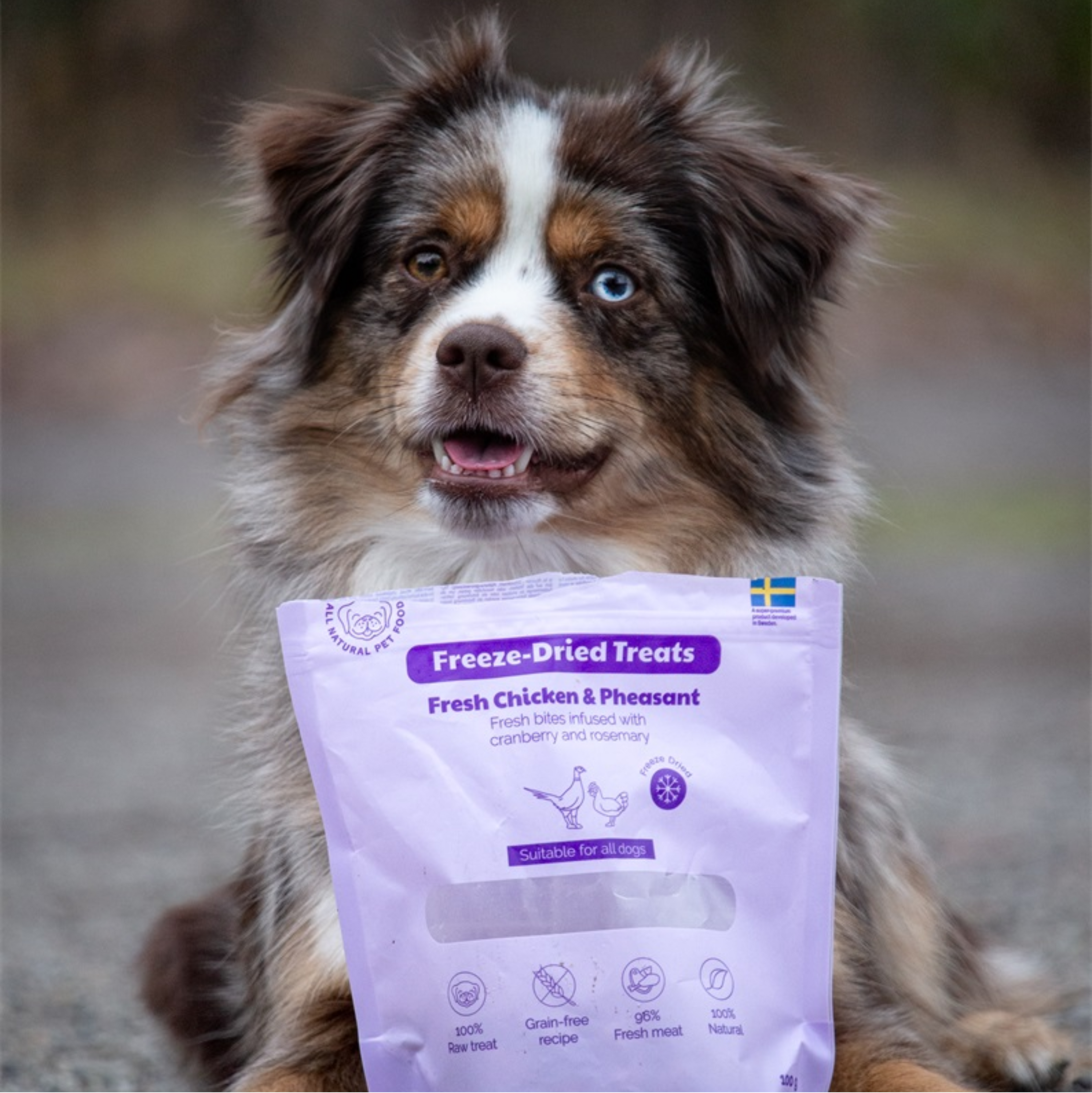 Buddy Freeze-Dried Treats Kip & Fazant (100g)